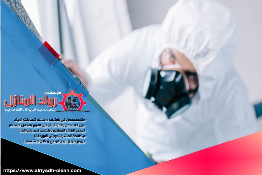 رش الحشرات الزاحفة بالرياض