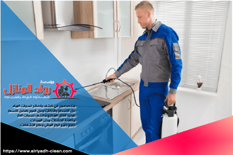 رش الحشرات الطائرة بالرياض