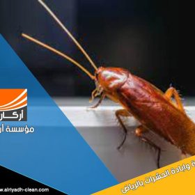 شركة مكافحة صراصير بالرياض تقدم خدمات متخصصة للقضاء على الحشرات باستخدام أحدث التقنيات والمواد الآمنة. احصل على بيئة نظيفة وصحية مع فريقنا المحترف. تواصل معنا الآن!